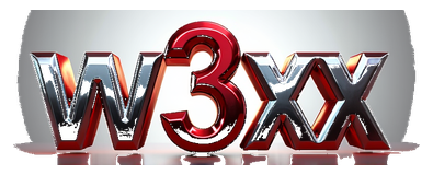 w3xx logo